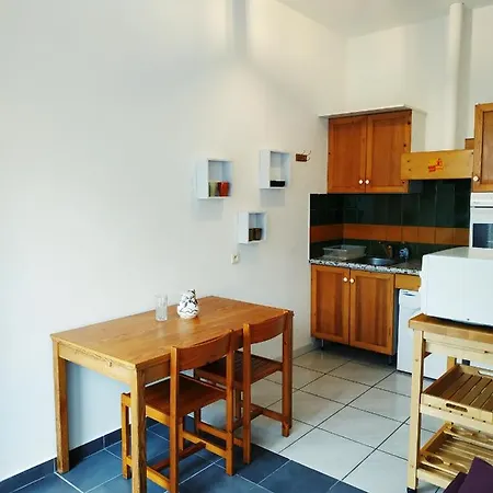 公寓 Chez Leslie Et Vincent : Climatises Avec Parking Privatif 佩皮尼昂